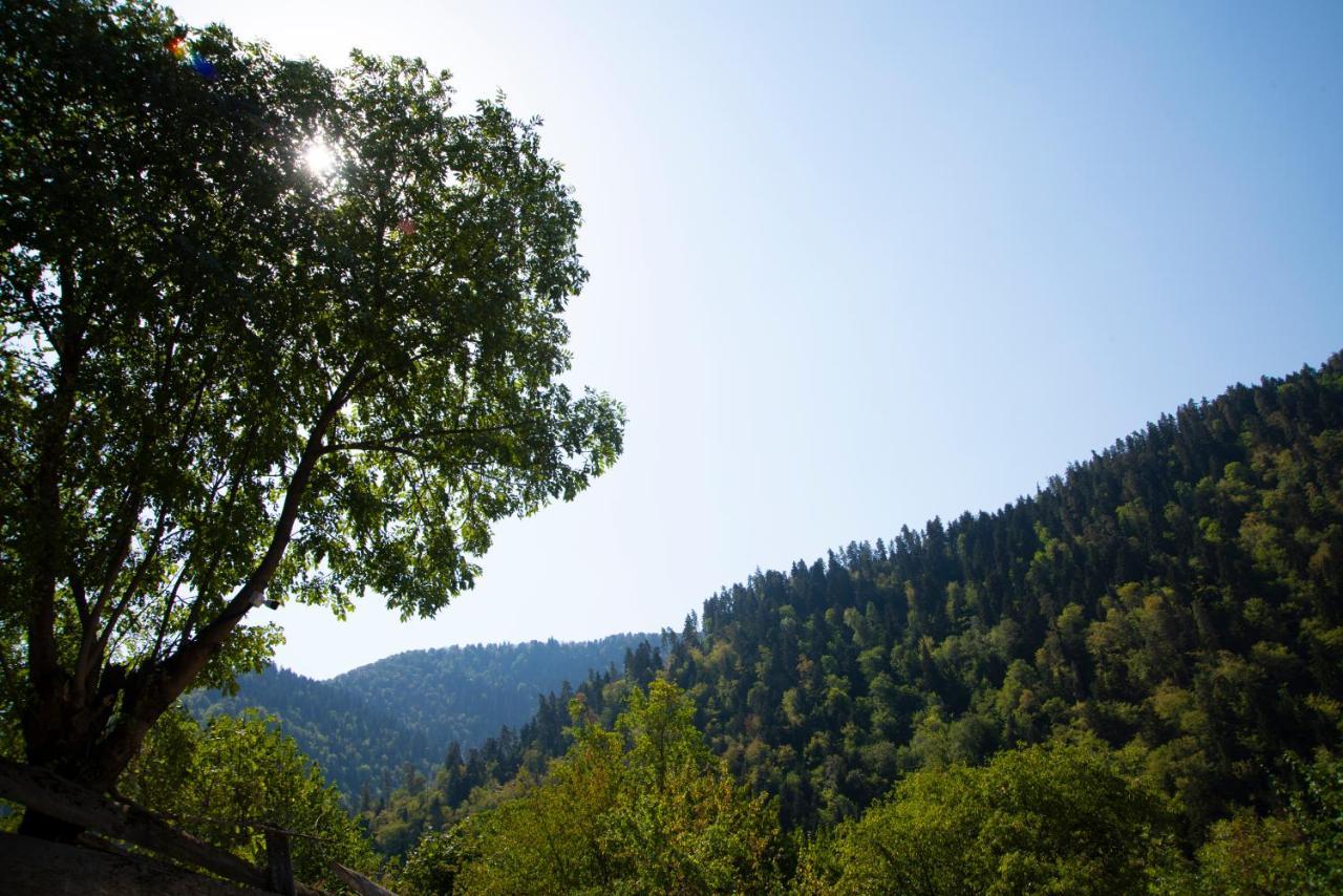 Landhaus Borjomi Εξωτερικό φωτογραφία