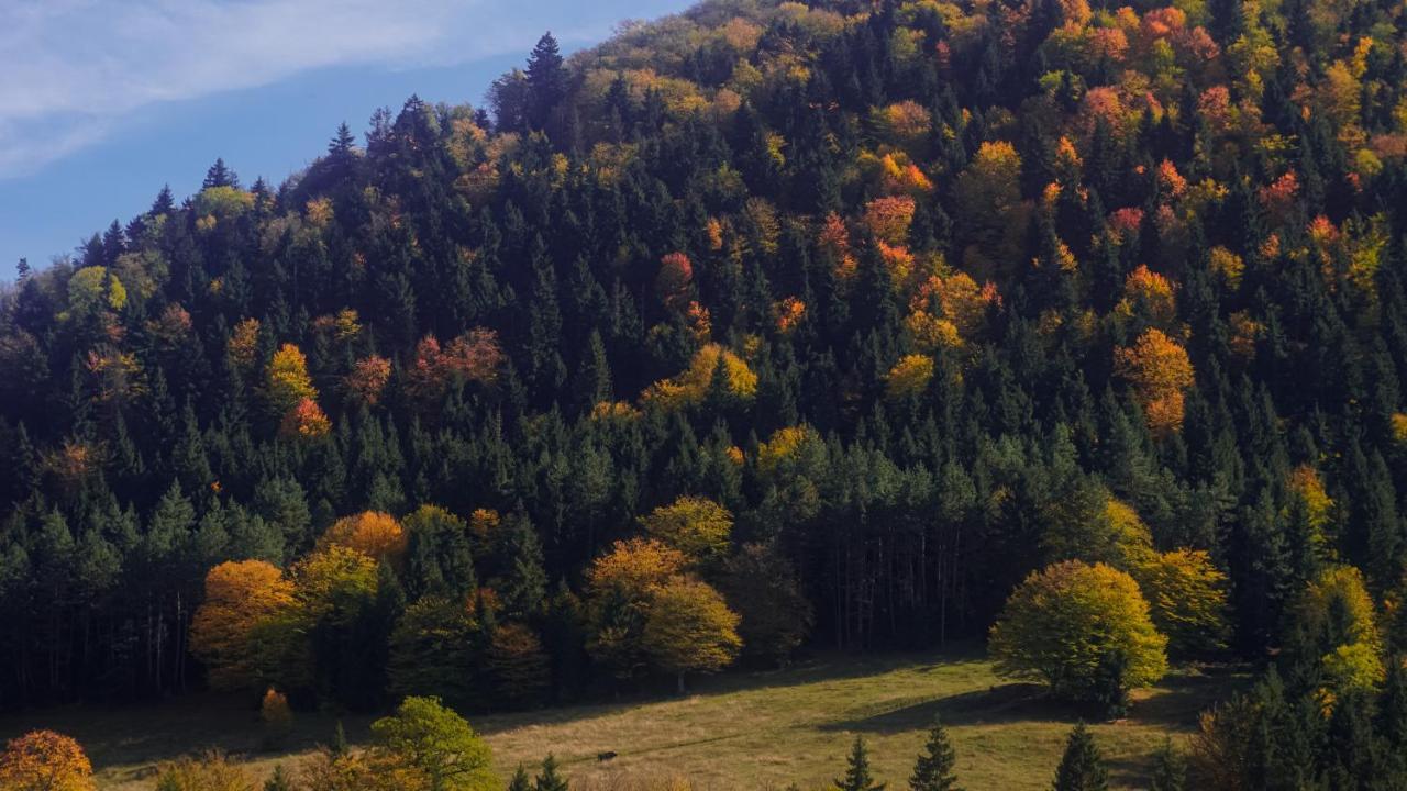 Landhaus Borjomi Εξωτερικό φωτογραφία
