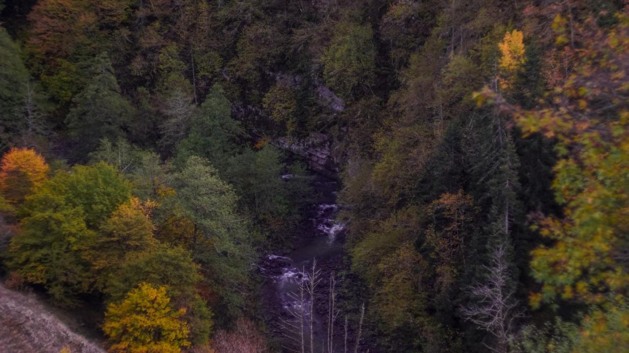 Landhaus Borjomi Εξωτερικό φωτογραφία