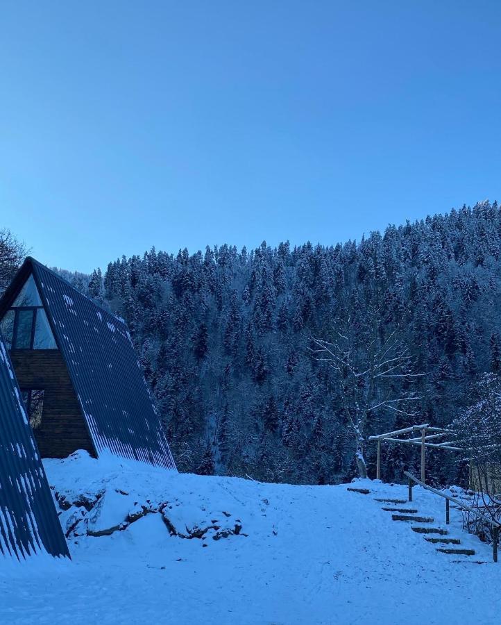 Landhaus Borjomi Εξωτερικό φωτογραφία