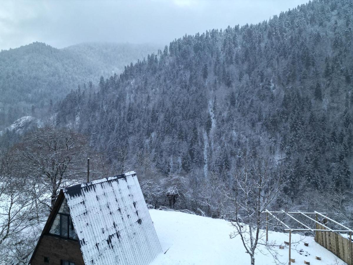 Landhaus Borjomi Εξωτερικό φωτογραφία