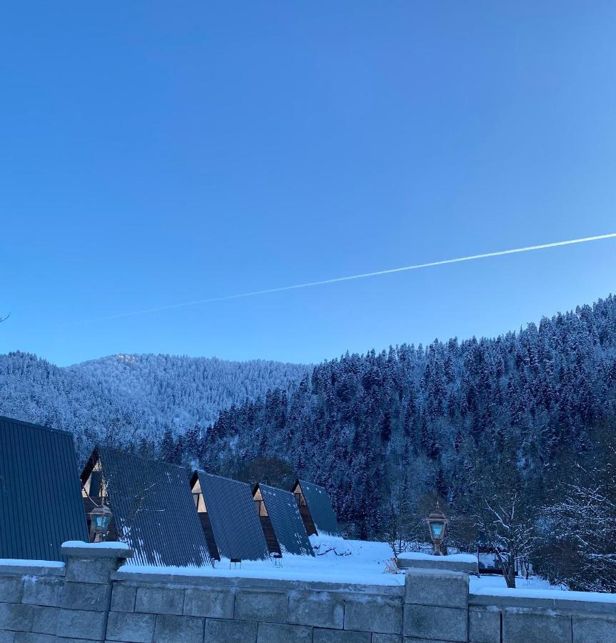 Landhaus Borjomi Εξωτερικό φωτογραφία