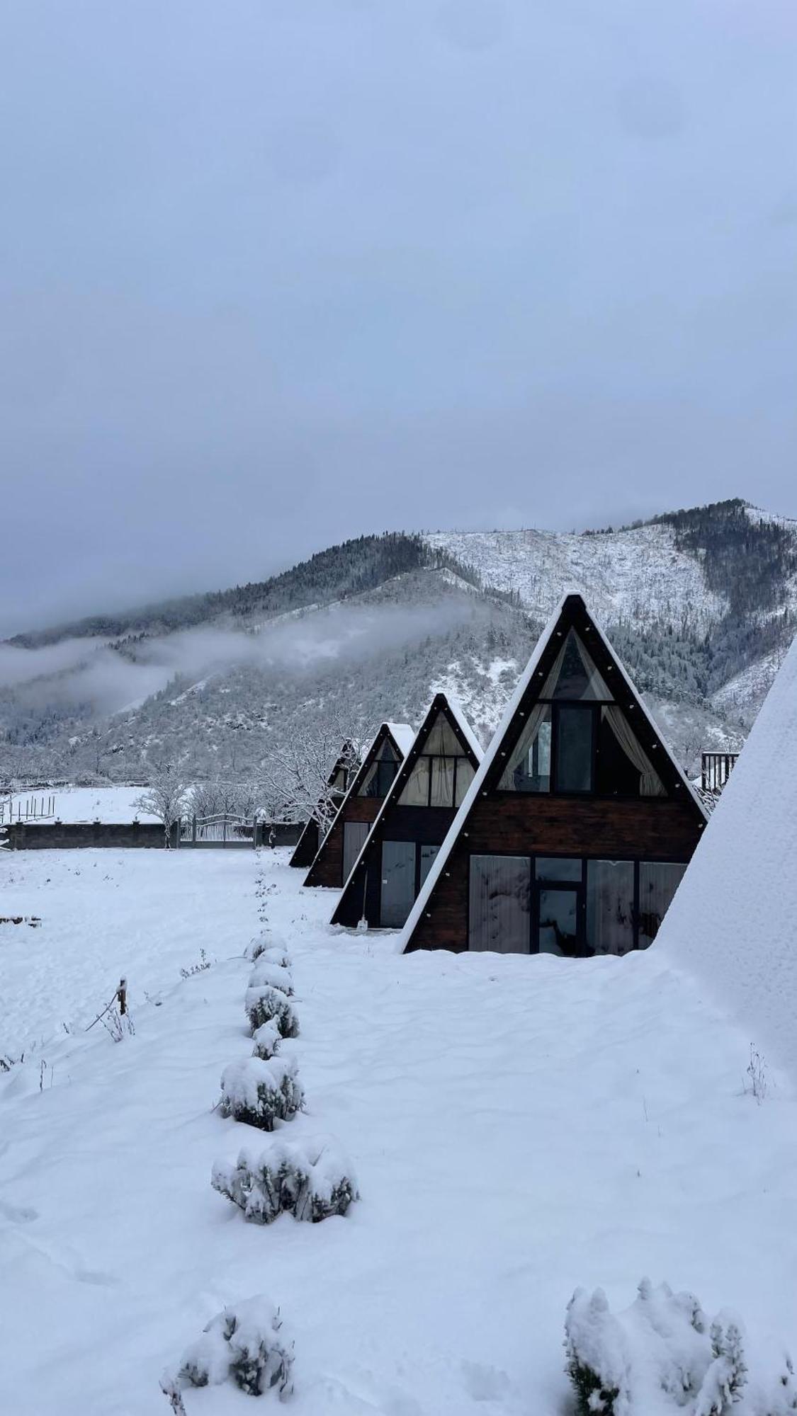 Landhaus Borjomi Εξωτερικό φωτογραφία