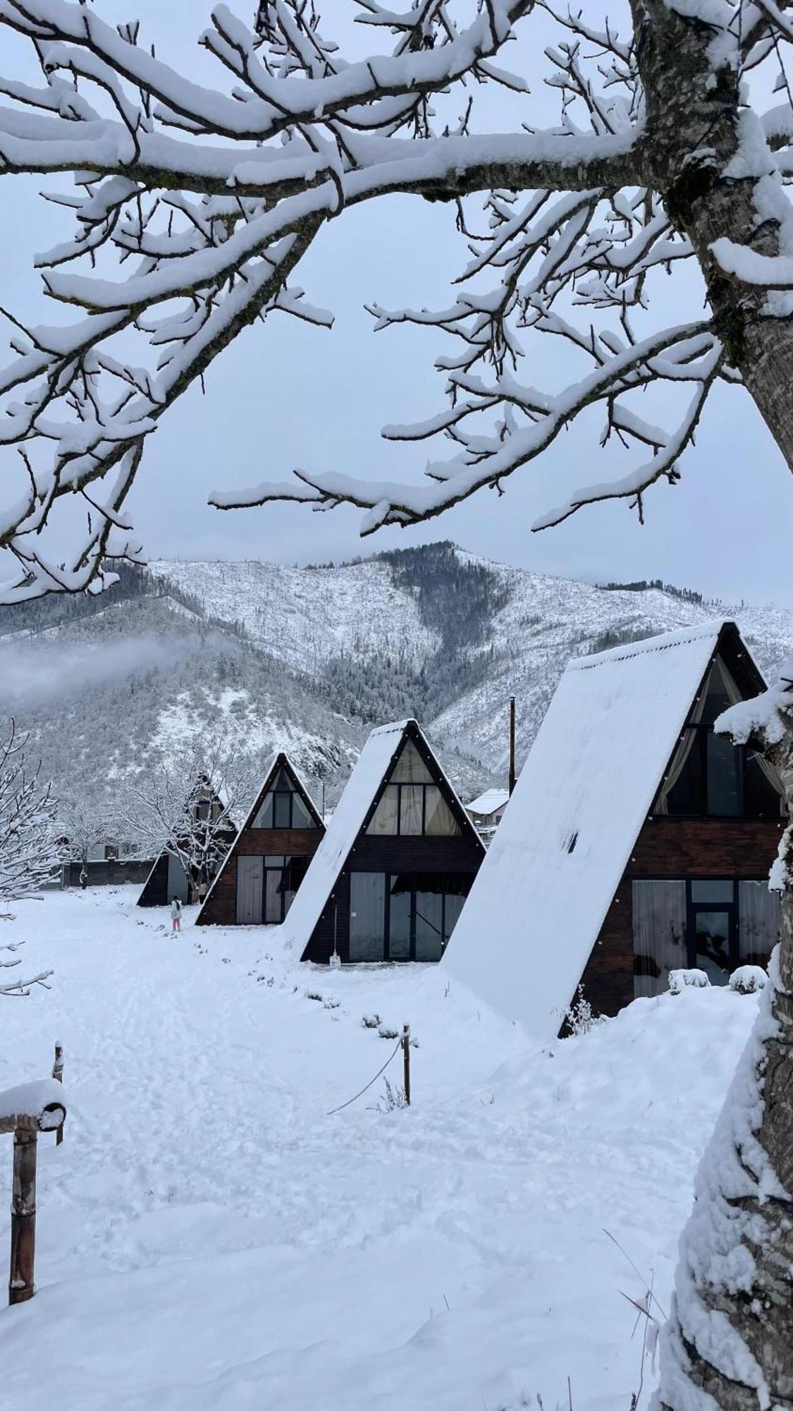 Landhaus Borjomi Εξωτερικό φωτογραφία