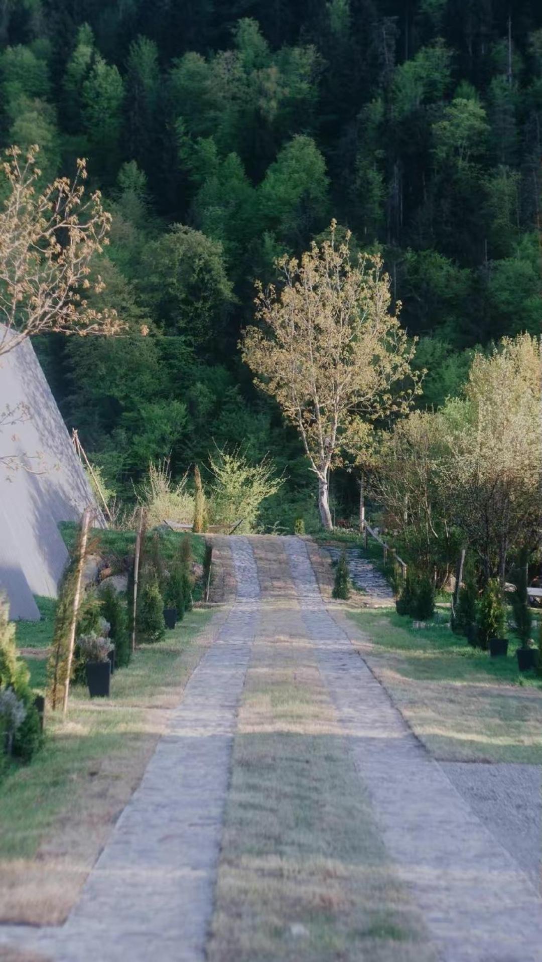 Landhaus Borjomi Εξωτερικό φωτογραφία