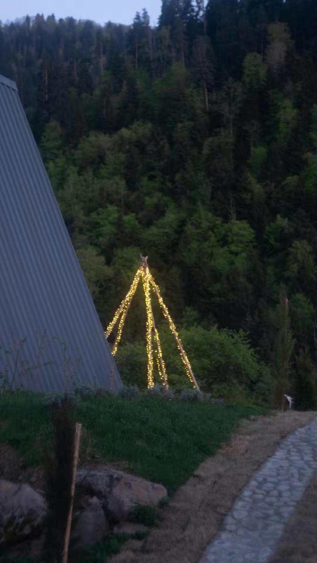 Landhaus Borjomi Εξωτερικό φωτογραφία