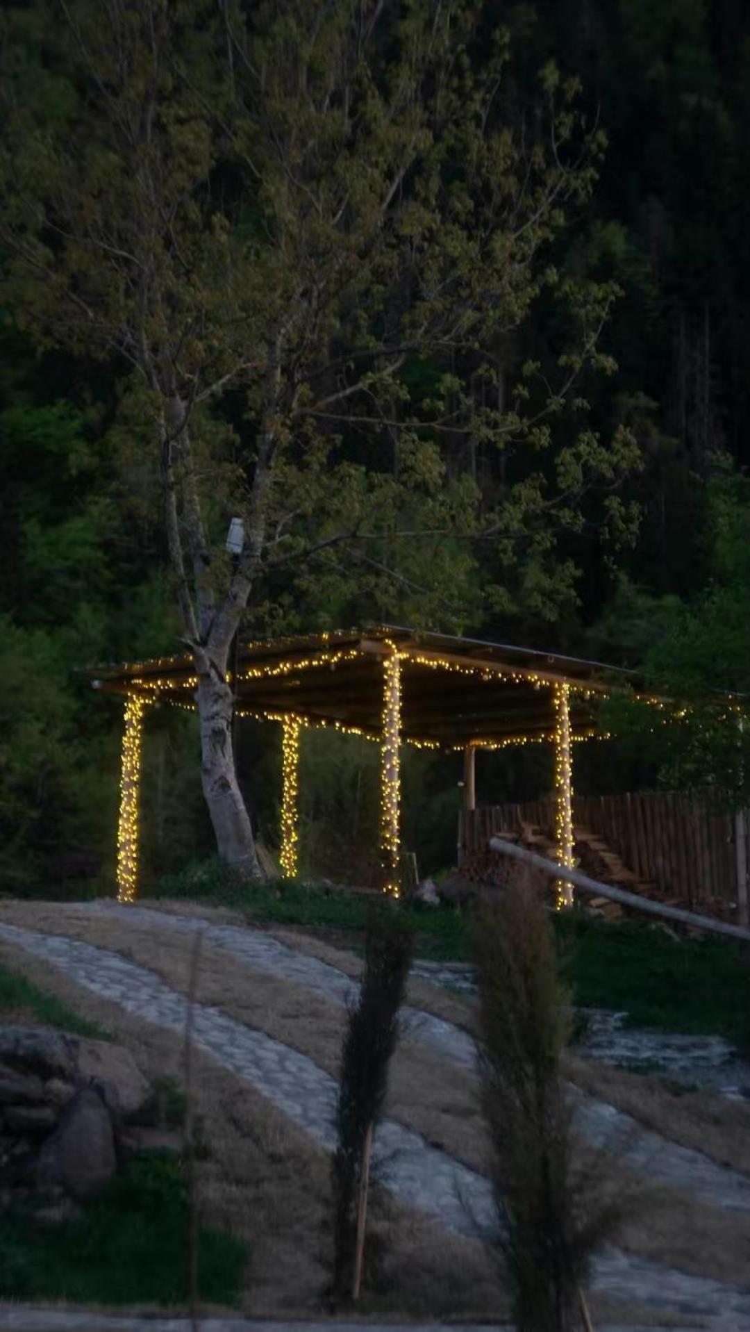 Landhaus Borjomi Εξωτερικό φωτογραφία