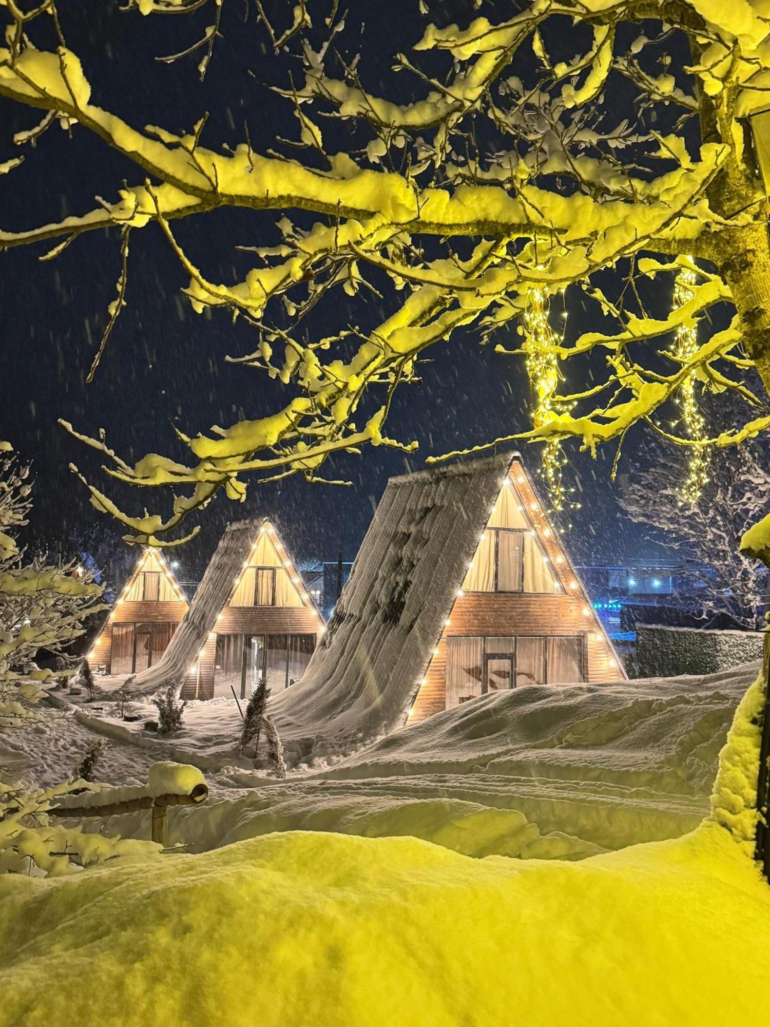 Landhaus Borjomi Εξωτερικό φωτογραφία